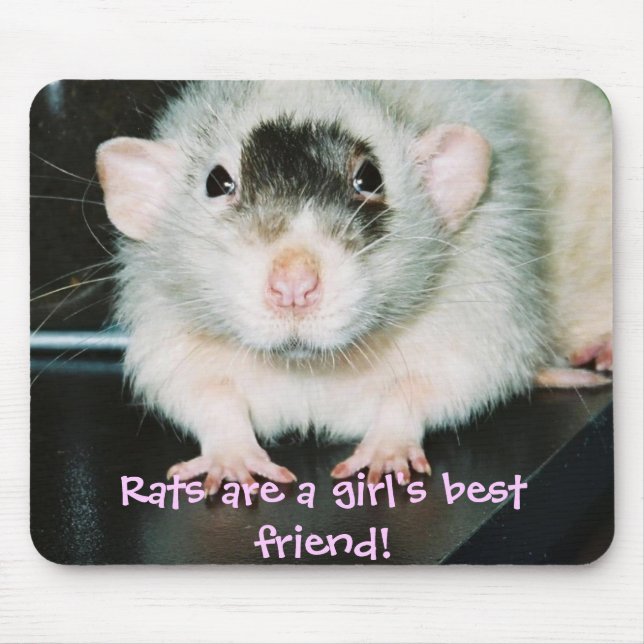 Rats best friend! mouse mat (Front)