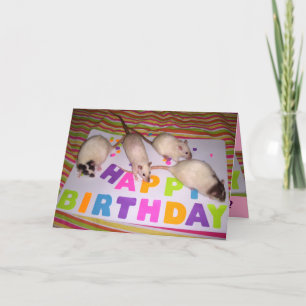 Rats Birthday Card! v1 Card