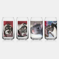 Rats