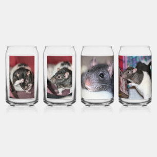 Rats Can Glass