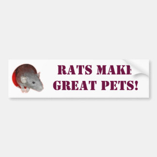 Rats make great pets! Bumper Sticker