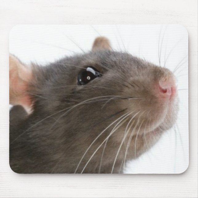 Rats!!! Mouse Mat (Front)