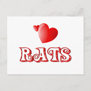 Rats Postcard