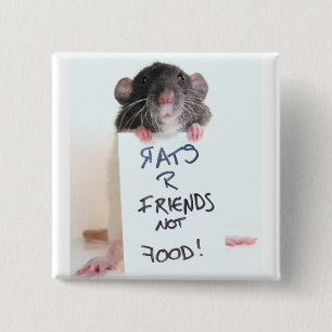 Rats R Friends Not Food 2 15 Cm Square Badge