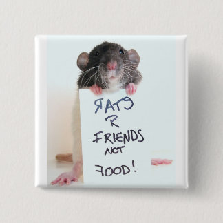 Rats R Friends Not Food 2 15 Cm Square Badge