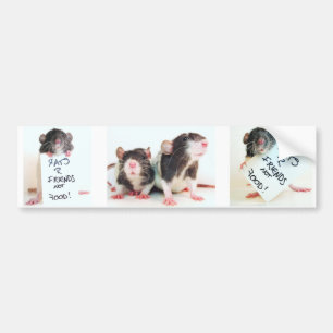 Rats R Friends Not Food 2 Bumper Sticker