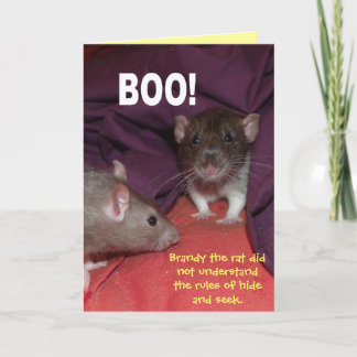 rats talking customisable greetings card