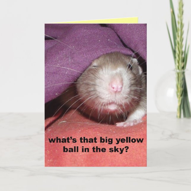 rats talking customisable greetings card (Front)