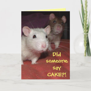 rats talking greetings card