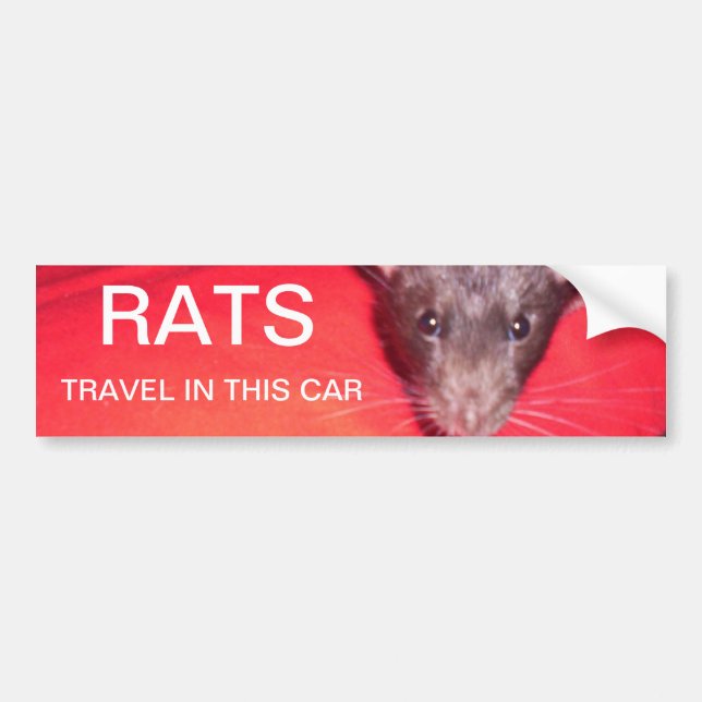 rats travel bumper sticker (Front)