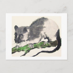 Ratte No. 09 * Rat * Ratten-Postkarten * Rat-Postc Postcard