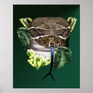 Rattle Snake Face Poster