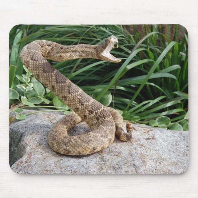 rattle snake on a rock mouse mat (Front)