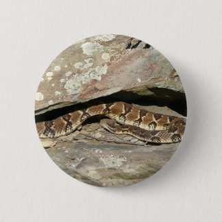 Rattlesnake at Shenandoah National Park 6 Cm Round Badge