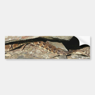 Rattlesnake at Shenandoah National Park Bumper Sticker