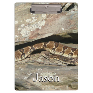Rattlesnake at Shenandoah National Park Clipboard