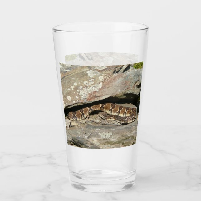 Rattlesnake at Shenandoah National Park Glass (Front)