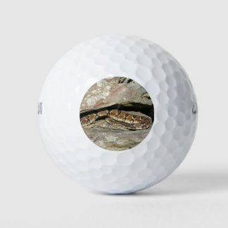 Rattlesnake at Shenandoah National Park Golf Balls