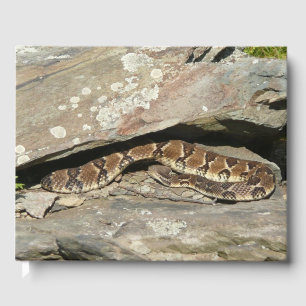 Rattlesnake at Shenandoah National Park Guest Book