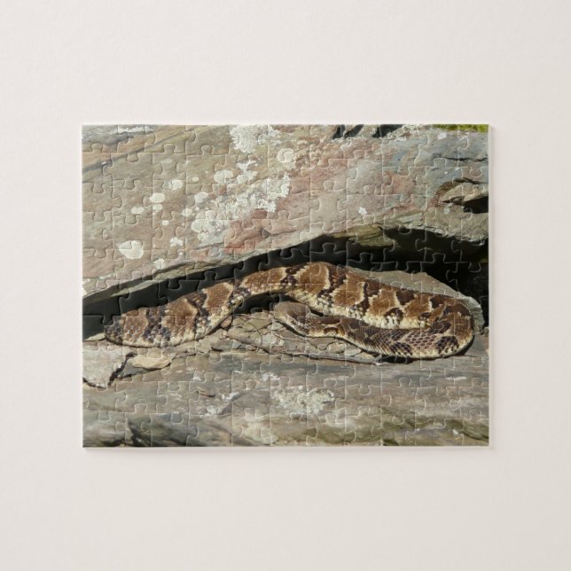 Rattlesnake at Shenandoah National Park Jigsaw Puzzle (Horizontal)
