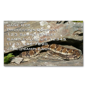 Rattlesnake at Shenandoah National Park Magnetic Business Card