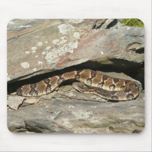 Rattlesnake at Shenandoah National Park Mouse Mat