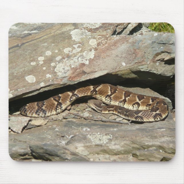 Rattlesnake at Shenandoah National Park Mouse Mat (Front)
