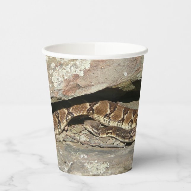 Rattlesnake at Shenandoah National Park Paper Cups (Left)