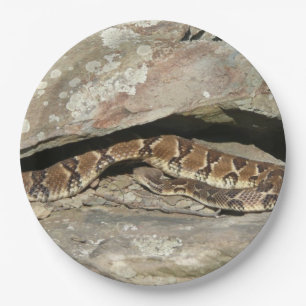Rattlesnake at Shenandoah National Park Paper Plate