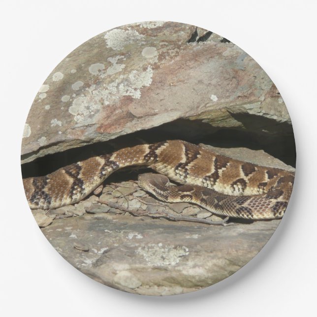 Rattlesnake at Shenandoah National Park Paper Plate (Front)