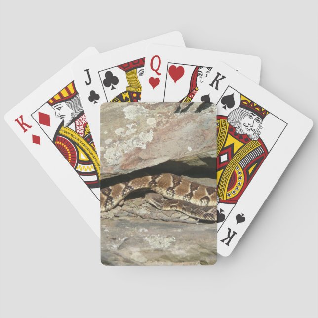 Rattlesnake at Shenandoah National Park Playing Cards (Back)