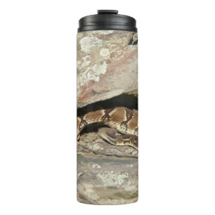 Rattlesnake at Shenandoah National Park Thermal Tumbler