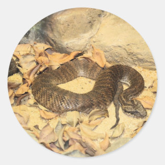 Rattlesnake Classic Round Sticker