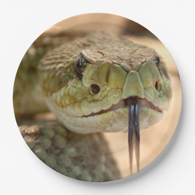 Rattlesnake Closeup Photo Paper Plate (Front)