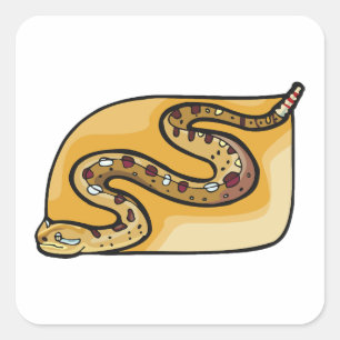 Rattlesnake Coiled Snake Southwestern Desert Square Sticker