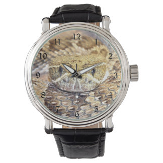 Rattlesnake face watch