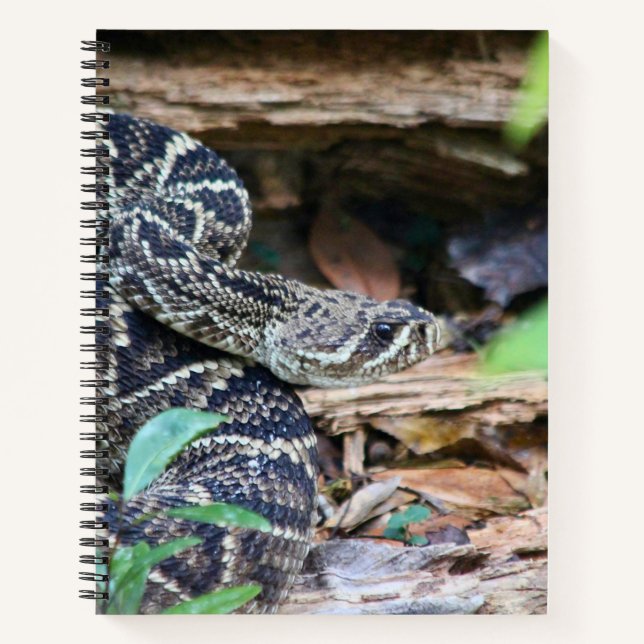 Rattlesnake In The Wild Notebook (Front)