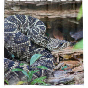 Rattlesnake In The Wild Shower Curtain