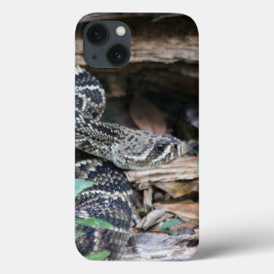 Rattlesnake iPhone Cases