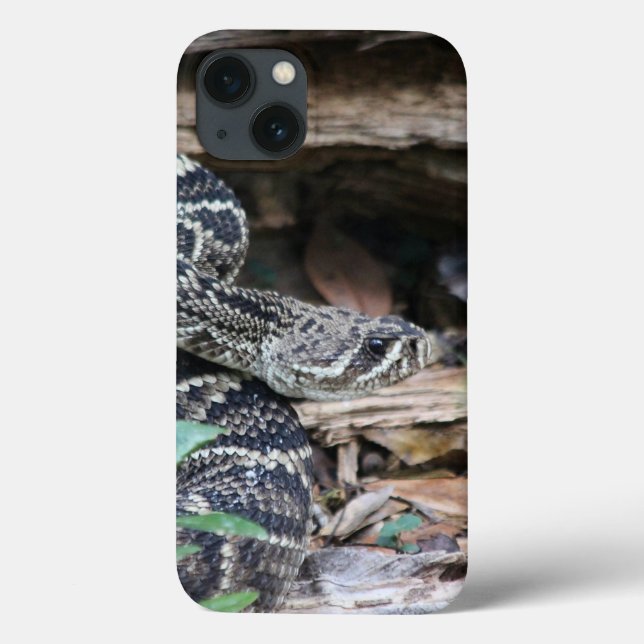 Rattlesnake iPhone Cases (Back)