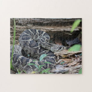 Rattlesnake Jigsaw Puzzle