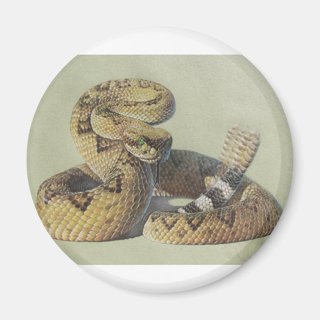 Rattlesnake Magnet (Front)