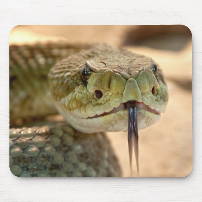 Rattlesnake Mouse Mat (Front)