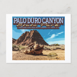 RATTLESNAKE - PALO DURO CANYON STATE PARK - TEXAS POSTCARD