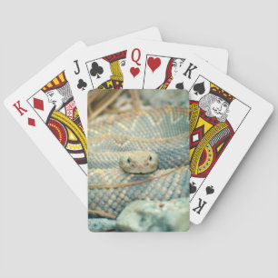 Rattlesnake Playing Cards