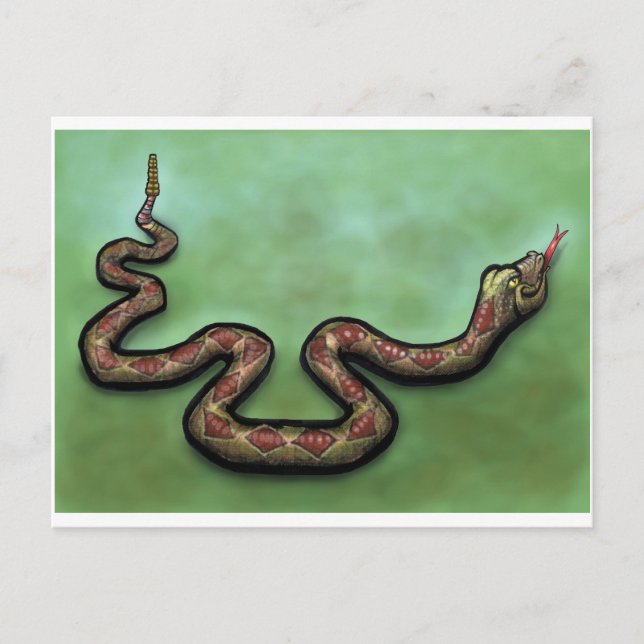 Rattlesnake Postcard (Front)