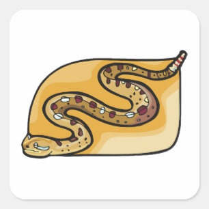 Rattlesnake Reptile Square Sticker