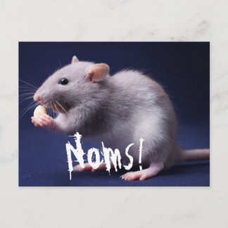 Ratty Lolz Postcard