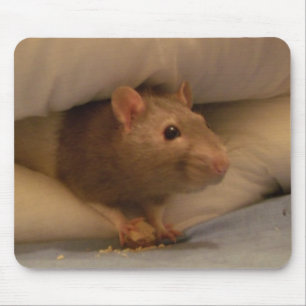 ratty mouse mat