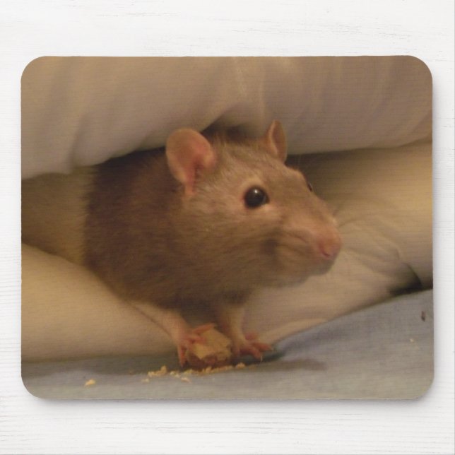 ratty mouse mat (Front)